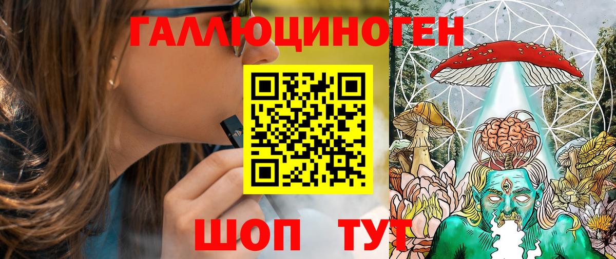 Псилоцибиновые грибы Psilocybe  Вход с VPN  Гусиноозёрск 